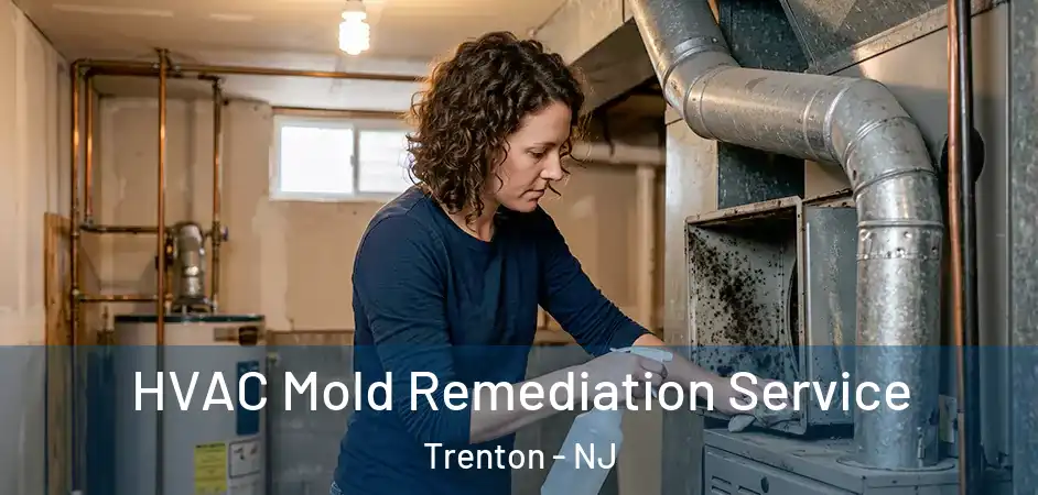 HVAC Mold Remediation Service Trenton - NJ