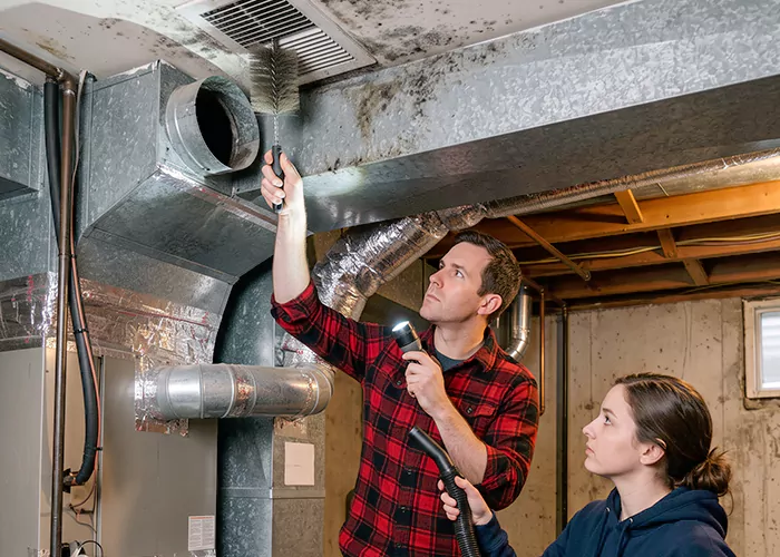 Premier HVAC Mold Remediation Company in Trenton